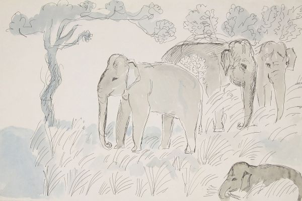 Александр Белашов. Дикие слоны, 1997. Заповедник Перияр, Индия. Бумага, акварель. Из архива А.А. Белашова