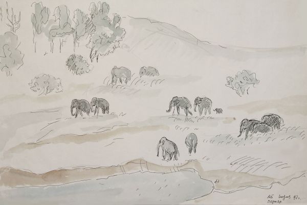 Александр Белашов. Дикие слоны, 1997. Заповедник Перияр, Индия. Бумага, акварель. Из архива А.А. Белашова