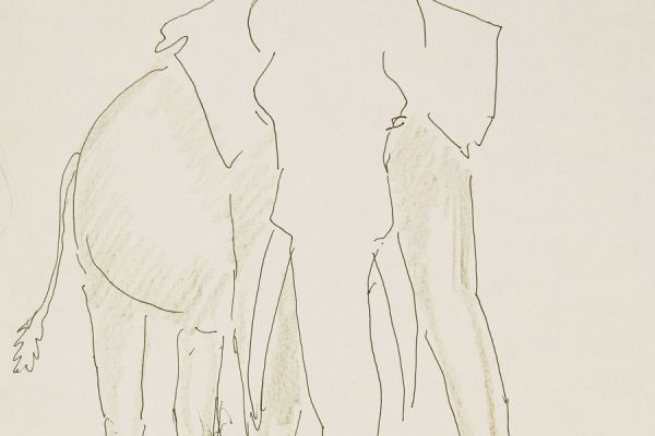 Александр Белашов. Дикий слон, 1997. Заповедник Перияр, Индия. Бумага, карандаш. Из архива А.А. Белашова