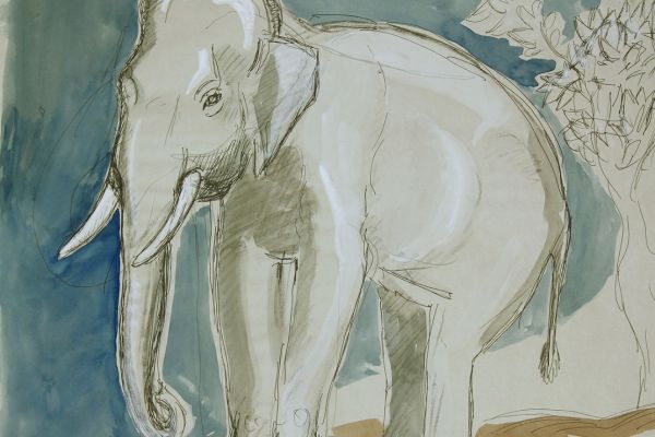 Александр Белашов. Дикий слон, 1998. Заповедник Перияр, Индия. Бумага, акварель. Из архива А.А. Белашова
