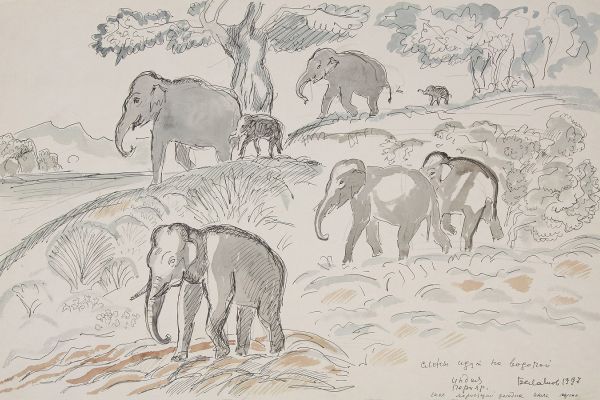 Александр Белашов. Слоны идут на водопой, 1997. Заповедник Перияр, Индия. Бумага, карандаш. Из архива А.А. Белашова