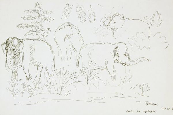 Александр Белашов. Слоны на кормежке, 1997. Заповедник Перияр, Индия. Бумаг, карандаш. Из архива А.А. Белашова