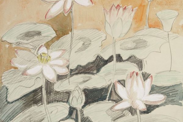 Александр Белашов. В птичьем заповеднике Курамараком, 1997. Индия. Бумага, карандаши. Из архива А.А. Белашова