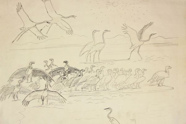 Александр Белашов. В птичьем заповеднике Курамараком, 1997. Индия. Бумага, карандаш. Из архива А.А. Белашова