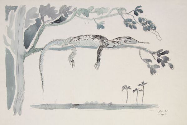 Александр Белашов. Варан на ветке, 1997. Индия. Бумага, акварель. Из архива А.А. Белашова