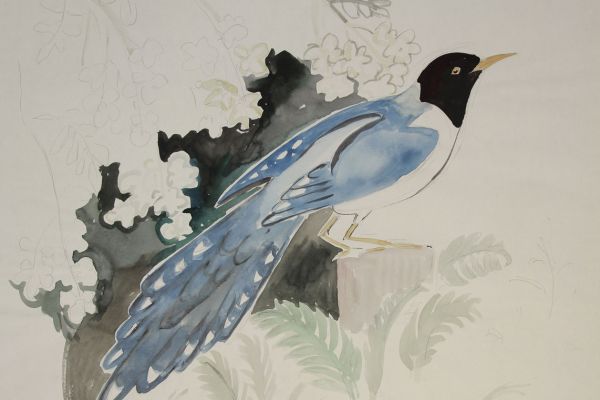 Александр Белашов. Голубая сорока, 1998. Индия. Бумага, акварель. Из архива А.А. Белашова